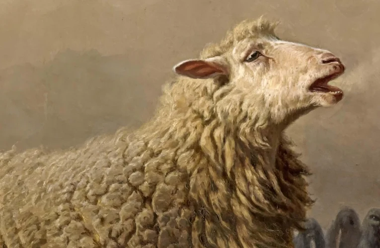 Smarriti, senza pastore